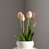 Tulip Bouquet Light Pink