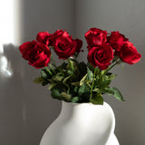 Rose Flower Red