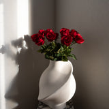 Rose Flower Red