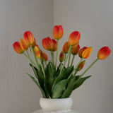 Tulip Bouquet Orange