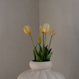 Tulip Bouquet Light Yellow