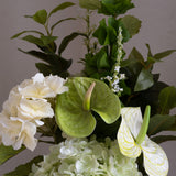 Basil Mist Bouquet
