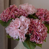 Hydrangea Bouquet Pink