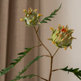 Artichoke Branch Green