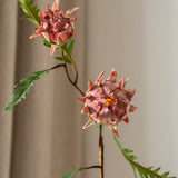 Artichoke Branch Pink