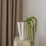 Amaranthus