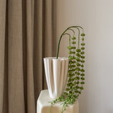 Amaranthus