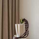 Amaranthus Burgundy