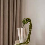 Amaranthus Green