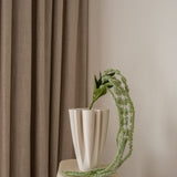 Amaranthus Light Green