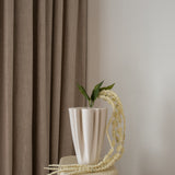 Amaranthus White