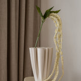 Amaranthus White