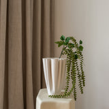 Amaranthus Green