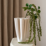 Amaranthus Green