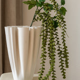 Amaranthus Green