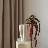 Amaranthus Red