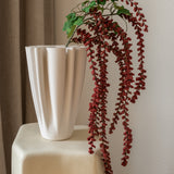 Amaranthus Red
