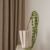 Amaranthus Green