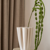 Amaranthus Green