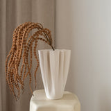 Amaranthus Brown