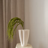 Amaranthus Green