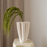 Amaranthus Green