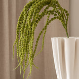 Amaranthus Green
