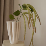 Amaranthus Light Green