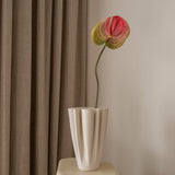Anthurium Flower Pink