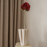 Anthurium Flower Red
