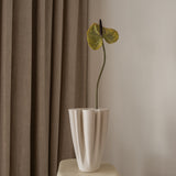 Anthurium Flower Moss Green