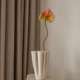 Anthurium Flower Pink