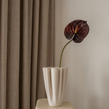 Anthurium Flower Burgundy