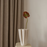 Anthurium Flower Small Brown