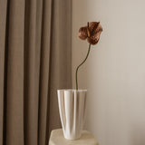 Anthurium Flower Brown