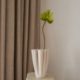 Anthurium Flower Green