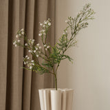 Baby's Breath