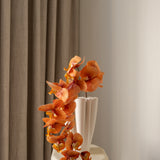 Butterfly orchid flower Orange