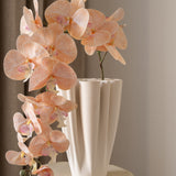 Butterfly orchid flower Pink