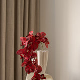 Butterfly orchid flower Red