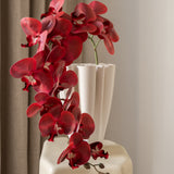 Butterfly orchid flower Red