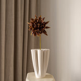 Cactus Dahlia Flower Brown