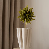 Cactus Dahlia Flower Moss Green
