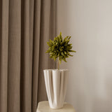 Cactus Dahlia Flower Moss Green