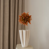 Cactus Dahlia Flower Orange