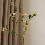 Chamomile Daisy Flower White