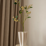 Chamomile Daisy Flower White