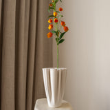 Chinese Lantern Lily Orange