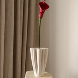 Calla Lily Flower Pink
