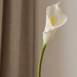 Calla Lily Flower White